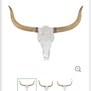 Longhorn skull wall decor with lace